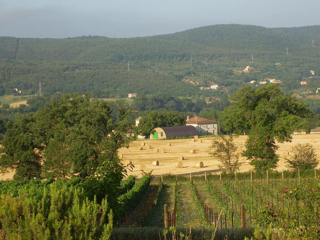 Farm stay Agriturismo Regno Verde Narni